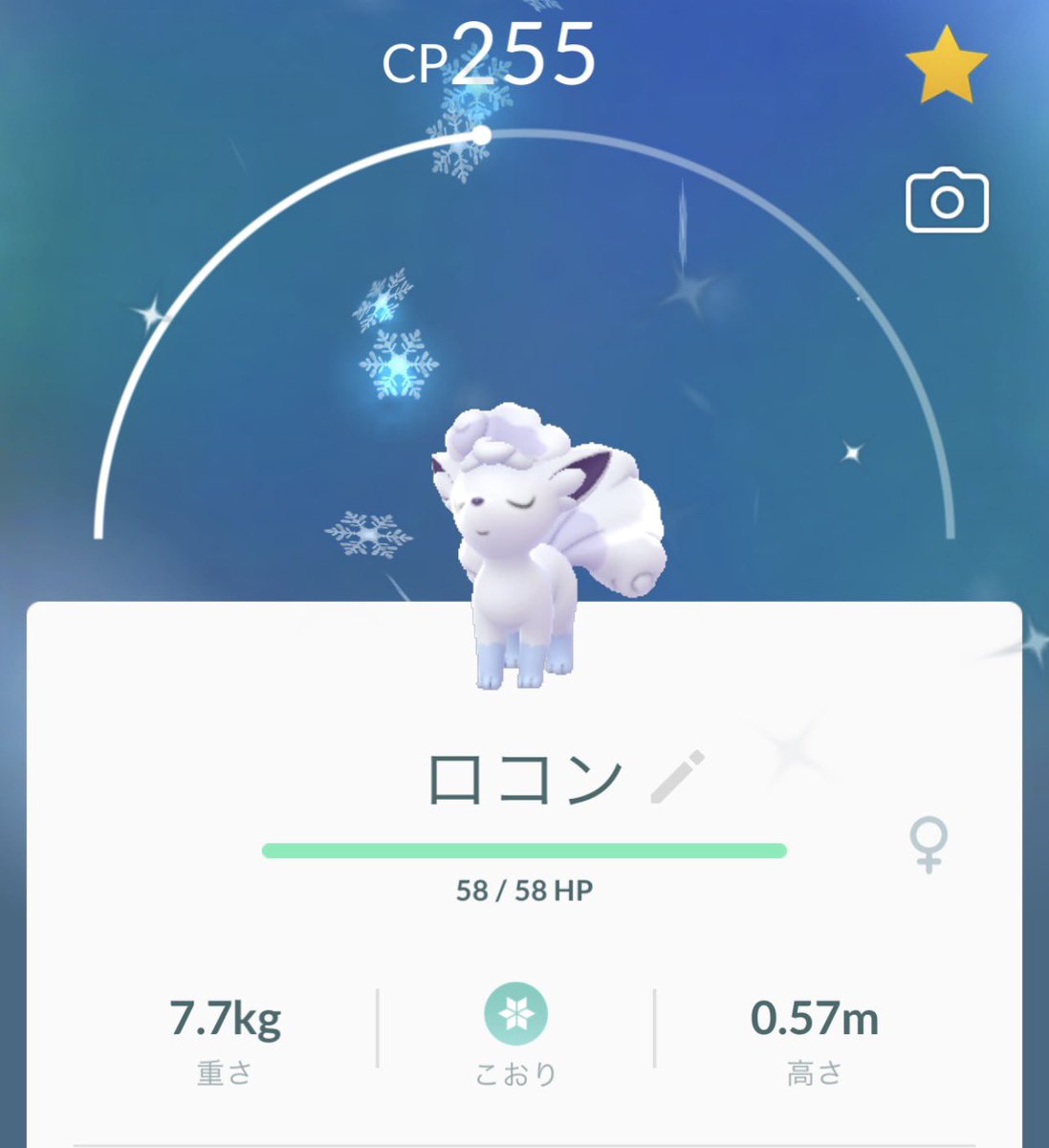Blackmagician Boy ついにゲット 野生 フォルムと配色がポケモンの中で1番好き 体重7 7kgは最高のおまけ ポケモンgo アローラロコン 色違い Blackmagician Boy ついにゲット 野生 フォルムと配色がポケモンの中で1番好き 体重7 7kgは最高のおまけ ポケモンgo アローラロコン 色違い