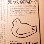 とぼけた顔して波瀾万丈な鳩生？マウント取ってくる鳩サブレーさんw