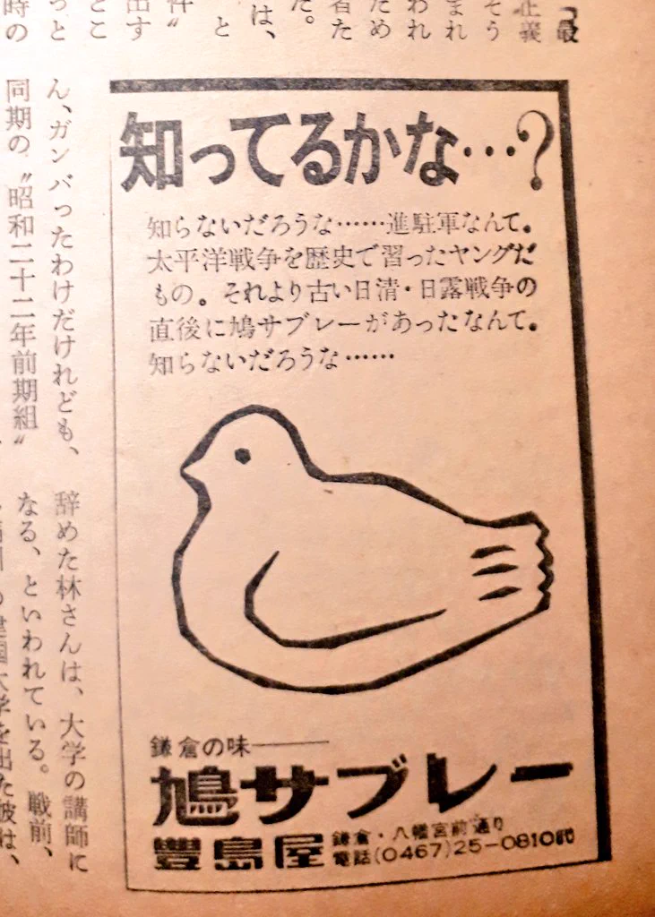 とぼけた顔して波瀾万丈な鳩生？マウント取ってくる鳩サブレーさんｗｗ