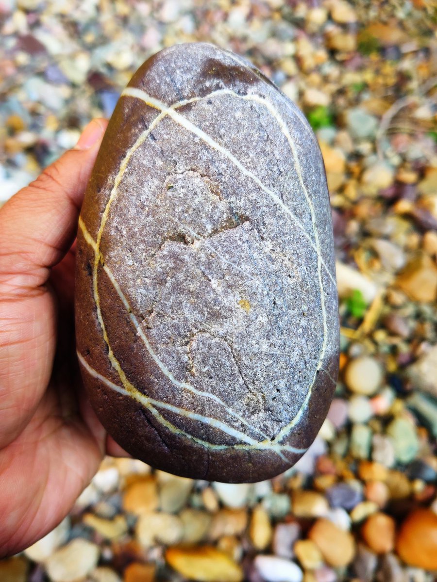 SinchanBhattac3's tweet photo. A small pebble can be so fascinating. 
#fielddiaries #Geology #siwalik #fluvialstories https://t.co/KMKEtcugye