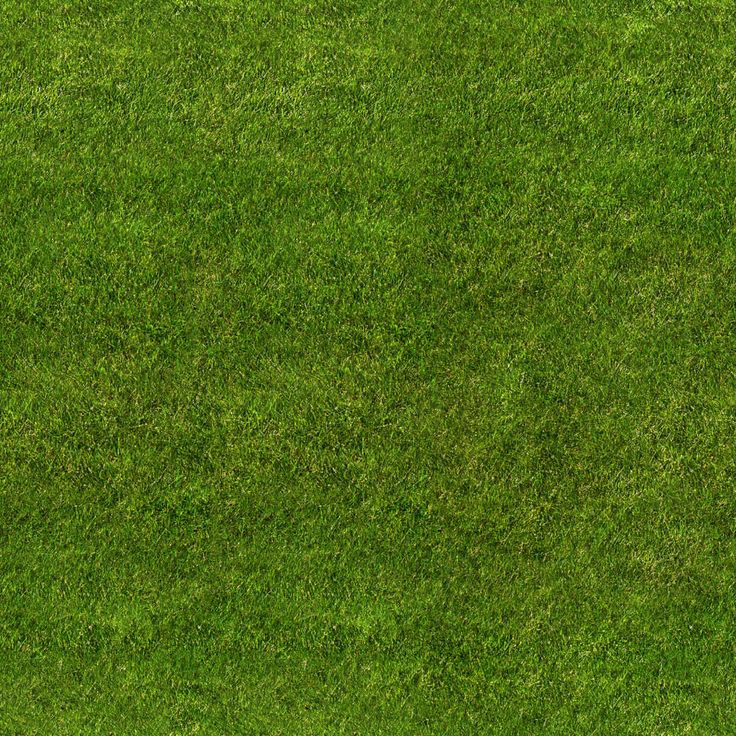end of thread  have some grass
