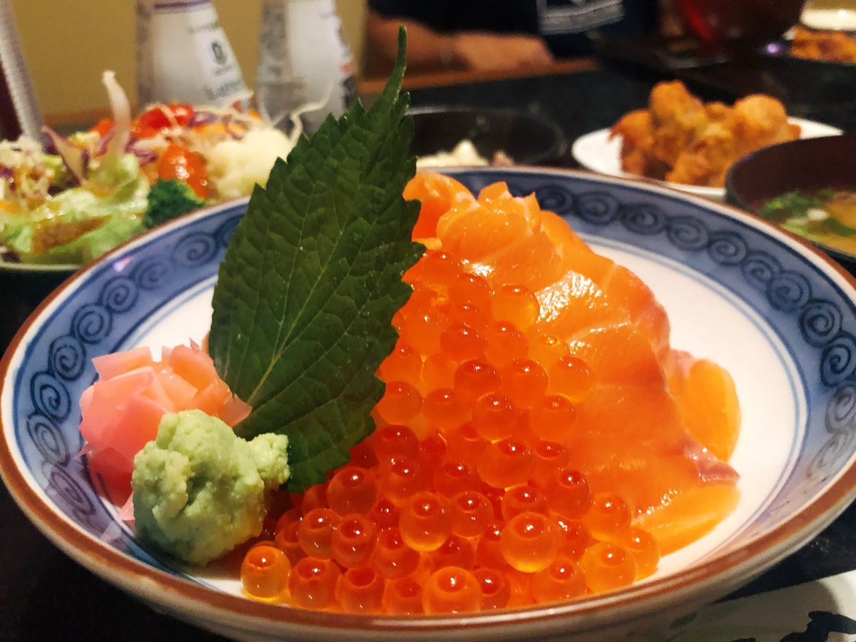 #sakenomise #sakenomisekushikatsu #salmonikuradon