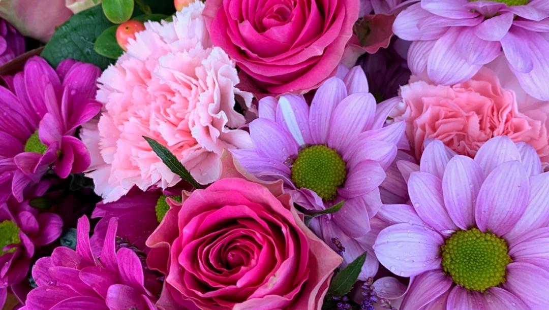We have a wide range of flowers varieties which include theses beautiful #roses #carnations &amp; #chrysanthemums

#beautifulcolors #pink #flowerworld #coloryourday