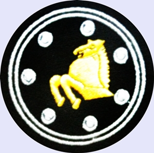 BTW, at the start of the above video, you can make out a horse shaped figure on round background like the one attached below. This is the formation sign of Pakistan Army's 6th Armored Division.