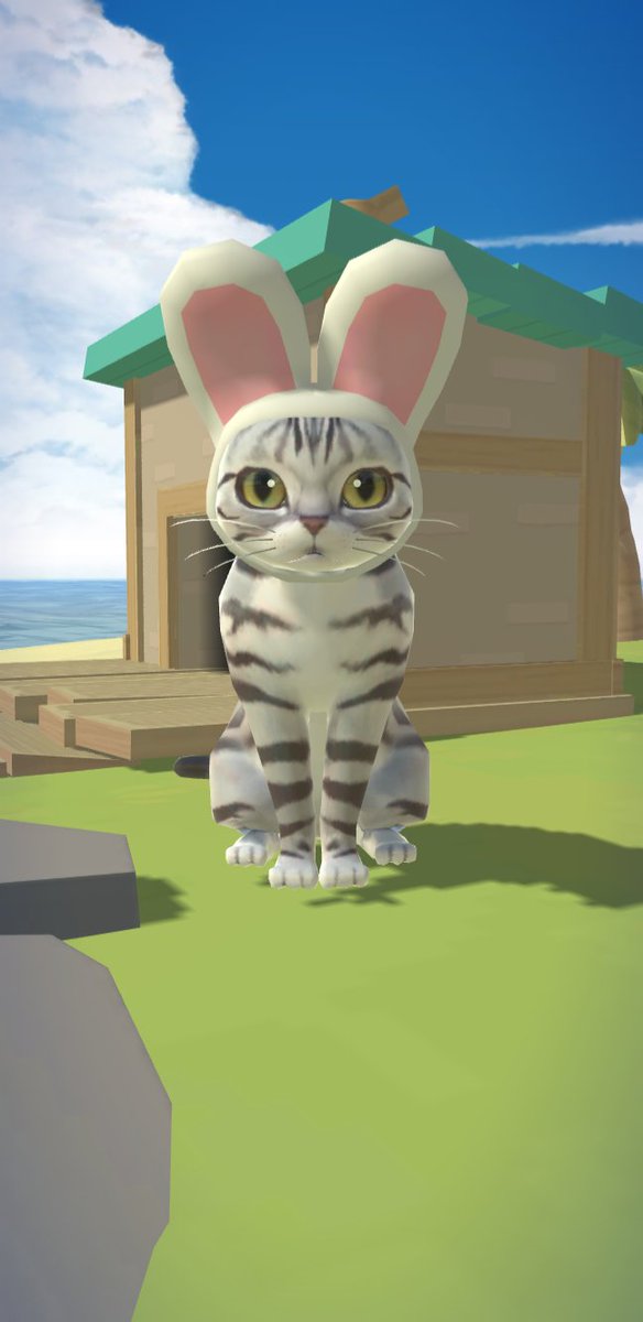 #냥냥고양이리조트
catisland.page.link/game