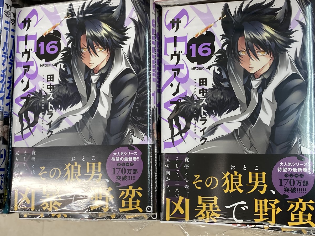 アニメイト富山 على تويتر 書籍入荷情報 Servamp サーヴァンプ 16巻 虚の記憶1巻 殺し愛10巻 などmfコミックスジーンシリーズの新刊が本日入荷したとや
