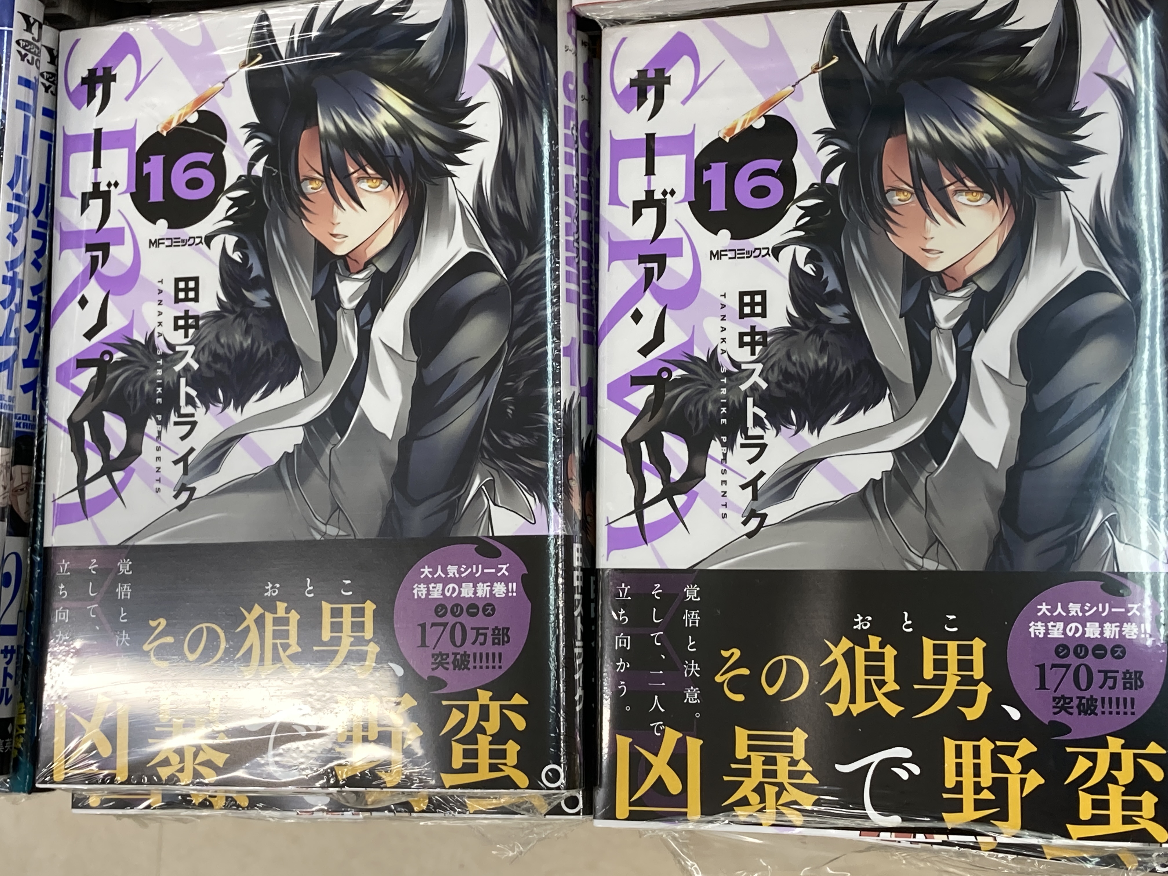 アニメイト富山 書籍入荷情報 Servamp サーヴァンプ 16巻 虚の記憶1巻 殺し愛10巻 などmfコミックスジーンシリーズの新刊が本日入荷したとや T Co Yvmjwxlaf0 Twitter