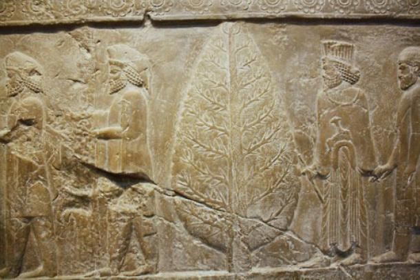 Gambar berikut merupakan relief yang terukir pada dinding Persepolis. Salah satu adat istiadat telah dilaksanakan di ibu kota Empayar Achaemenid ini, menggambarkan Mithra dan sebatang pokok yang malar hijau.