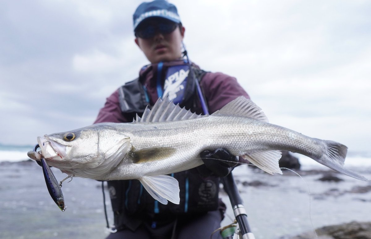 Twitter ನಲ ಲ ソルパラ ಹ ಯ ಶ ಟ ಯ ಗ