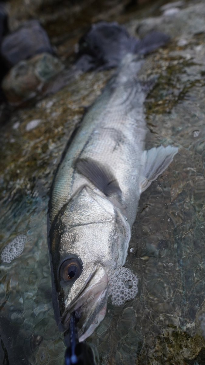 Twitter ನಲ ಲ ソルパラ ಹ ಯ ಶ ಟ ಯ ಗ