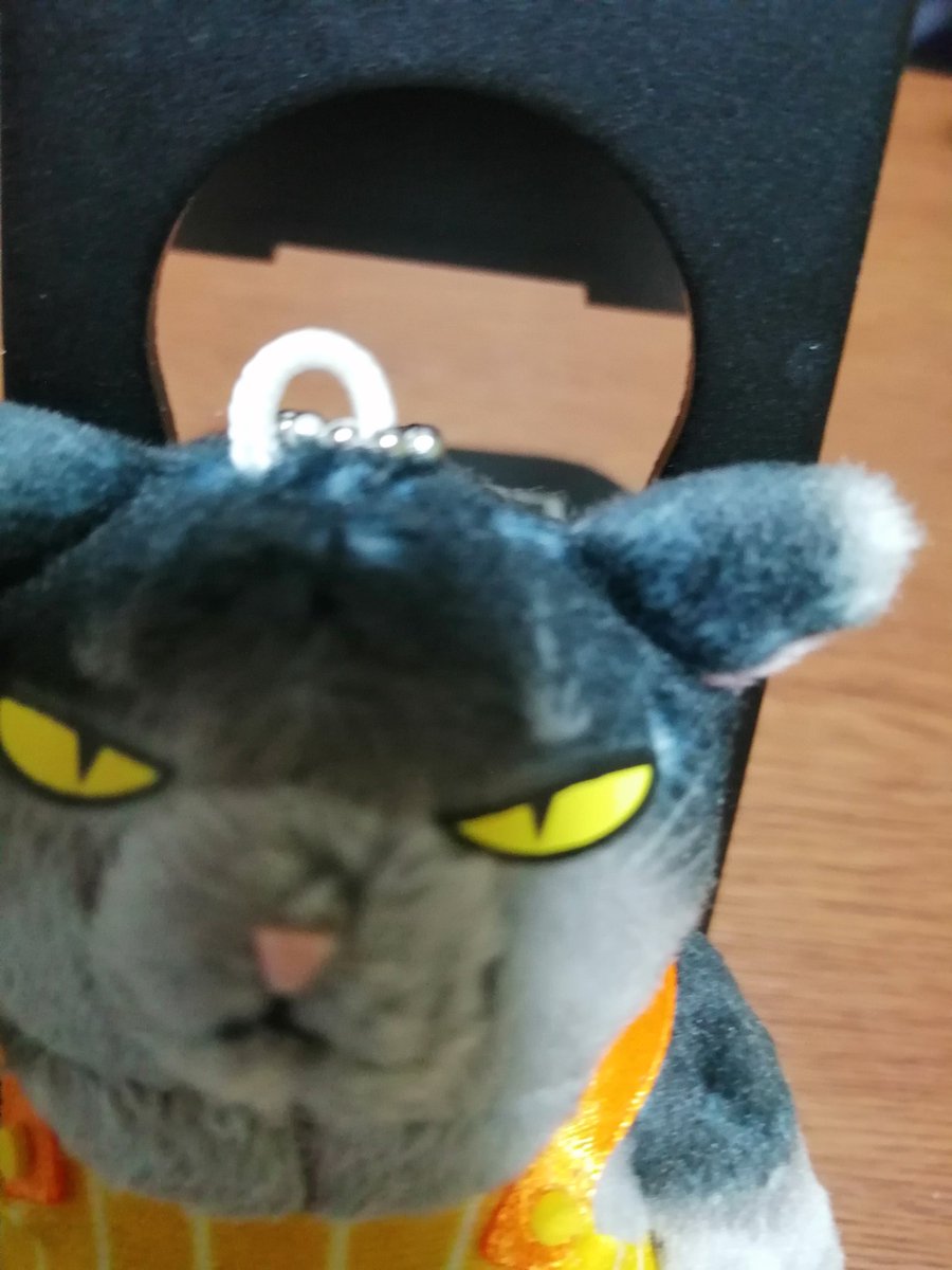 Yamada Hitsuzi の画像 動画一覧 Whotwi グラフィカルtwitter分析