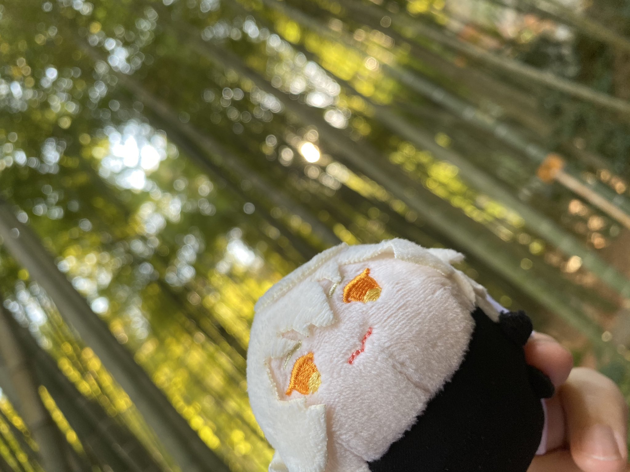 琴吹 司 そのあと 竹林がすごい報国寺さんに連れて行ってもらい プリンスカグヤにも思いを馳せつつ小さな命 もちとか小さな草木 を堪能したりなんなりして お抹茶 頂きました 琴吹 司 そのあと 竹林がすごい報国寺さんに連れて行ってもらい プリンスカグヤにも思いを馳せつつ小さな命 もちとか小さな草木 を堪能したりなんなりして お抹茶 頂きました