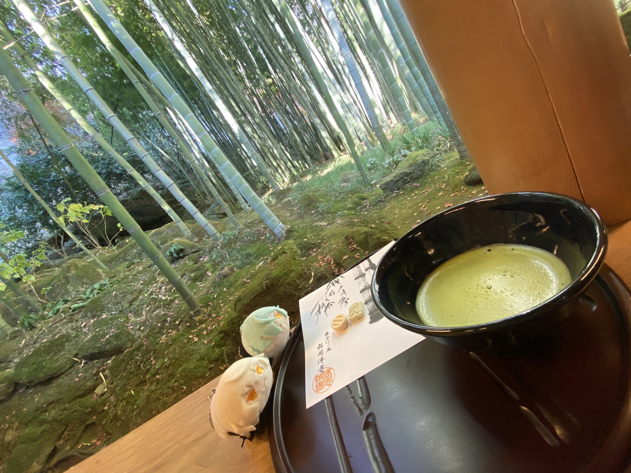 琴吹 司 そのあと 竹林がすごい報国寺さんに連れて行ってもらい プリンスカグヤにも思いを馳せつつ小さな命 もちとか小さな草木 を堪能したりなんなりして お抹茶 頂きました 琴吹 司 そのあと 竹林がすごい報国寺さんに連れて行ってもらい プリンスカグヤにも思いを馳せつつ小さな命 もちとか小さな草木 を堪能したりなんなりして お抹茶 頂きました