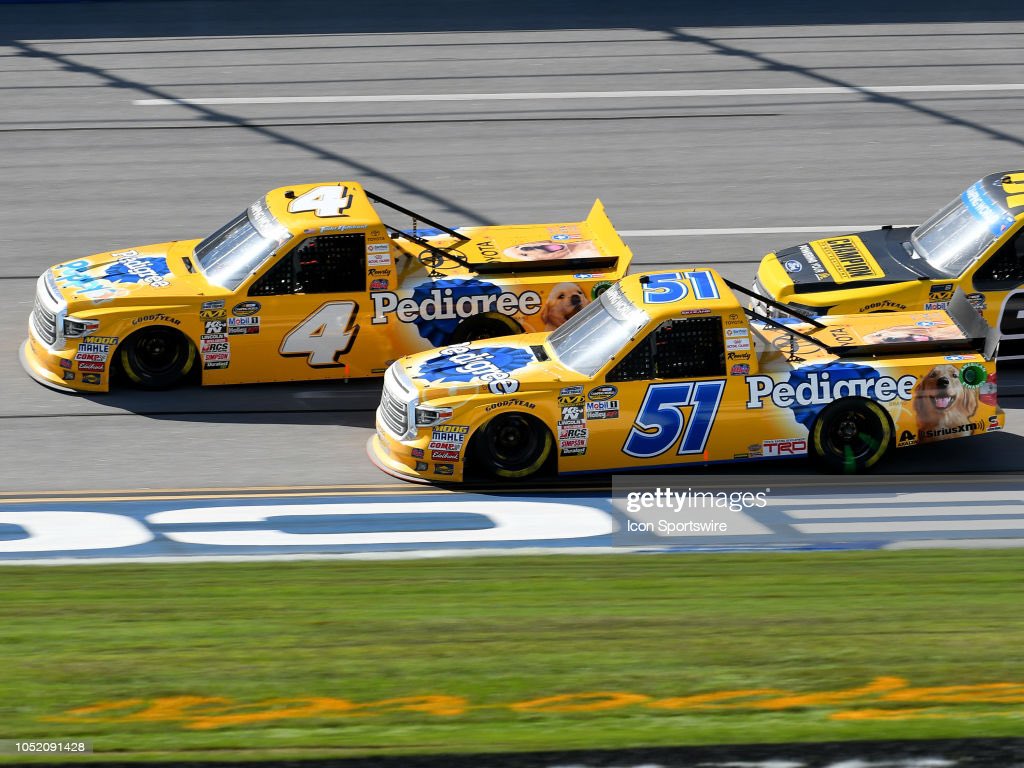 David Gilliland (@DavidGilliland) / Twitter