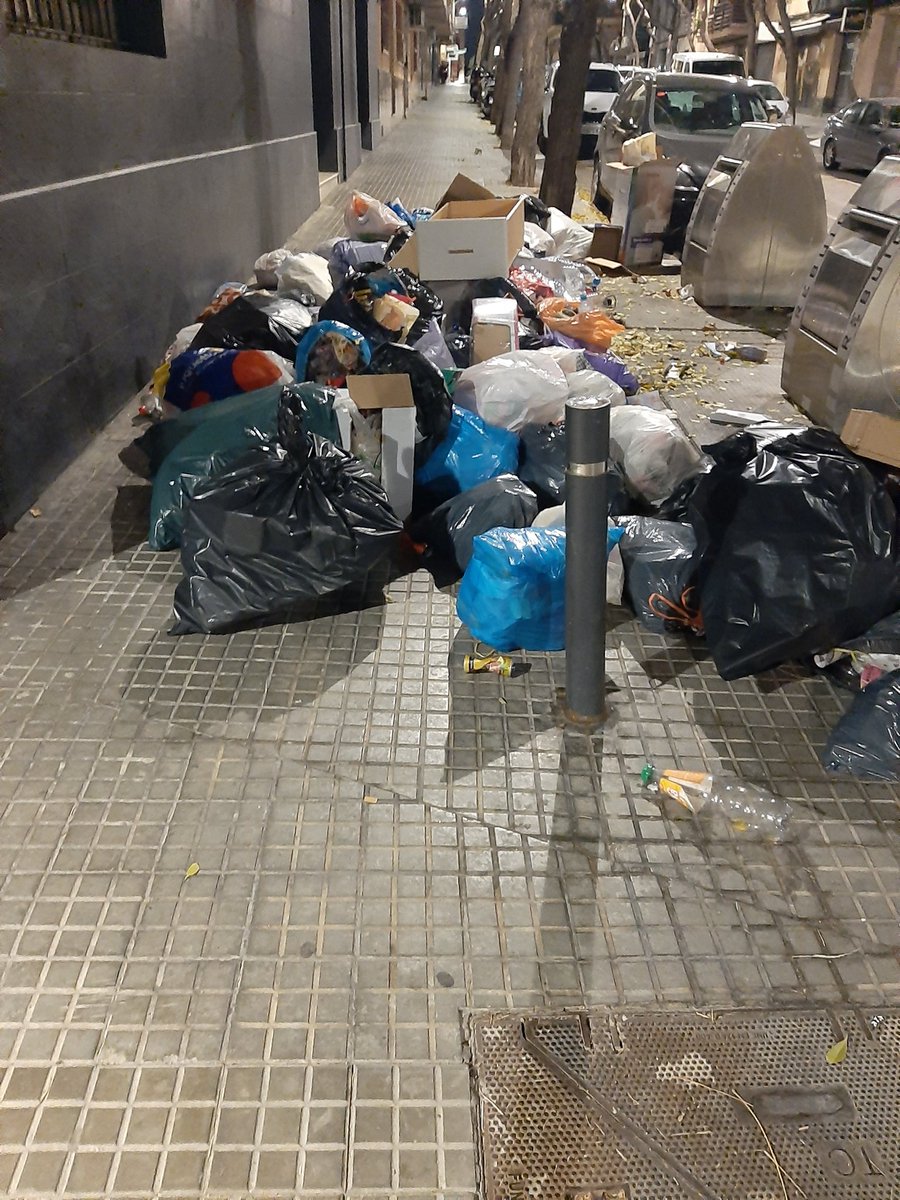 coletasdeporvida. tweet media