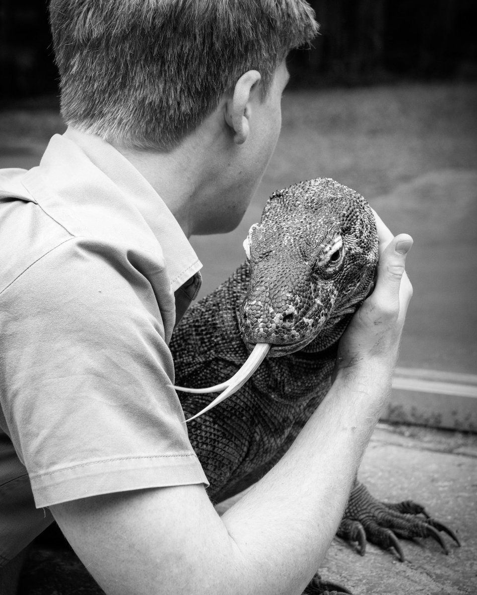RobertIrwin's tweet photo. Indah ❤️ https://t.co/I7aF79pUSW