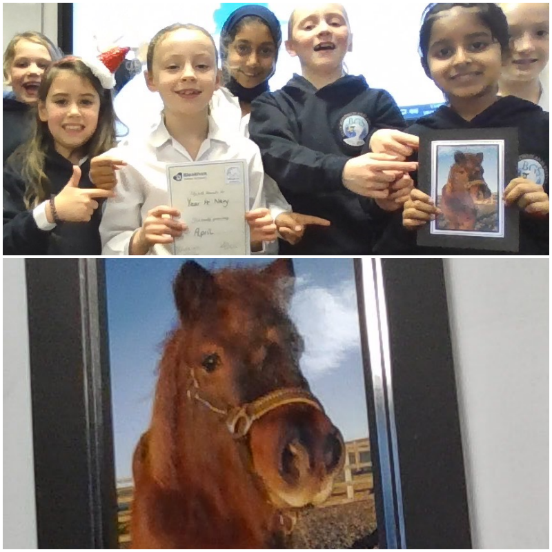 BuryGrammar's tweet photo. 🎁For Christmas, Miss Murphy and her Year 4 pupils have sponsored a pony named April! The class will be helping to keep the pony happy and healthy and will receive regular updates on her progress😊🐴
#BuryGrammarSchool #BGSY4 https://t.co/L0d1ljes5z