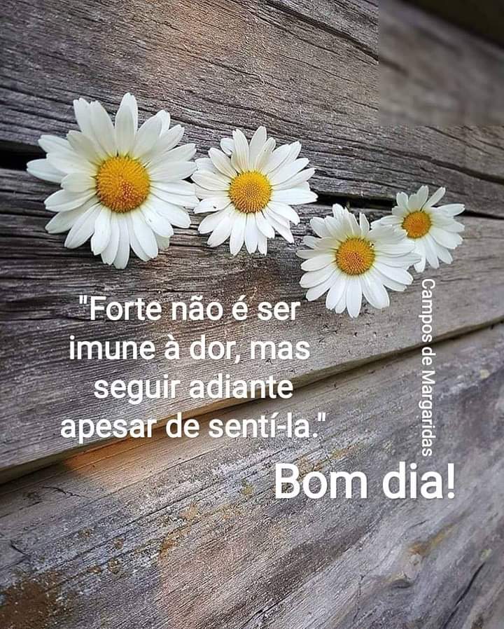 Tweet / Twitter Tweet / Twitter