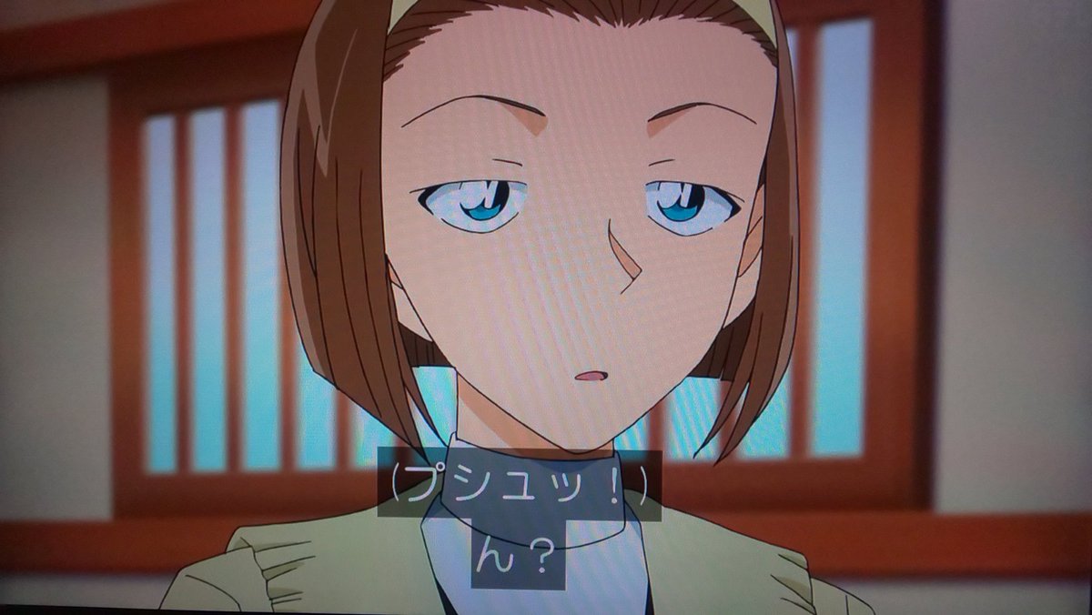 睦月 財閥令嬢 麻酔銃狙撃事件発生 名探偵コナン Conan