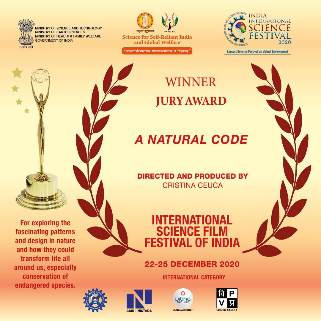 A Natural Code won the Jury Award at the International Science Film Festival of India via FilmFreeway.com! Idea of the film belongs to <a href="/NatashaMaths/">Natasha Ellison</a>, film made in collaboration with @philipcball <a href="/PhilipMaini/">Philip Maini</a> <a href="/mwsrp/">Whale Shark Research</a> and  <a href="/UWEBristol/">UWE Bristol</a> <a href="/SciCommsUWE/">Science Communication Unit, UWE Bristol</a>