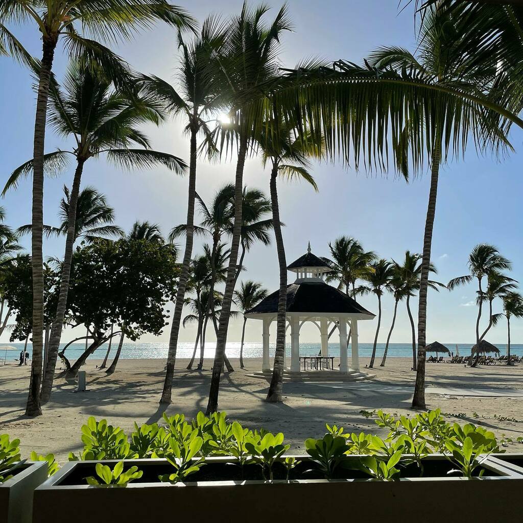 CroutonBoy's tweet photo. The view at breakfast this morning was OK. https://t.co/FgUVgFnGFq https://t.co/dyX1GWfxz8