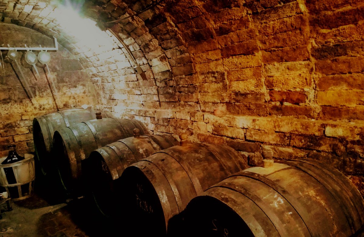 Peter Stacko (@pstacko) on Twitter photo Christmas🎄is especially magical in the cellar of my father in-law. You get to see and taste what the grapes you helped harvesting turn into when treated with love and hard labor, but there is also all kinds of beautiful chemistry both on a personal level and inside the barrels. Christmas🎄is especially magical in the cellar of my father in-law. You get to see and taste what the grapes you helped harvesting turn into when treated with love and hard labor, but there is also all kinds of beautiful chemistry both on a personal level and inside the barrels.
