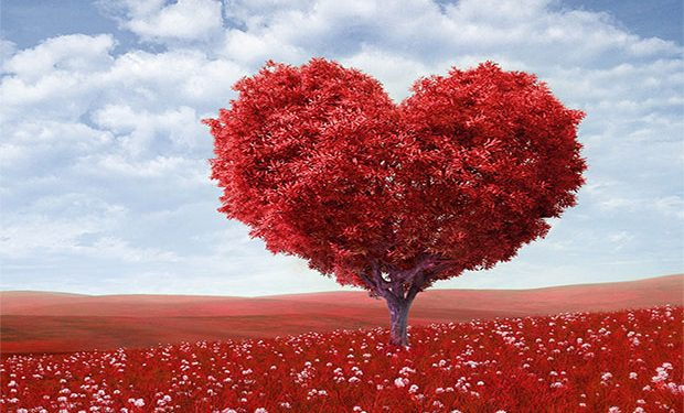 Musmutlu bir Cumartesi olsun 🍀
Dışarısı yasak ama yüreğimiz girmesini bilene serbest❤️