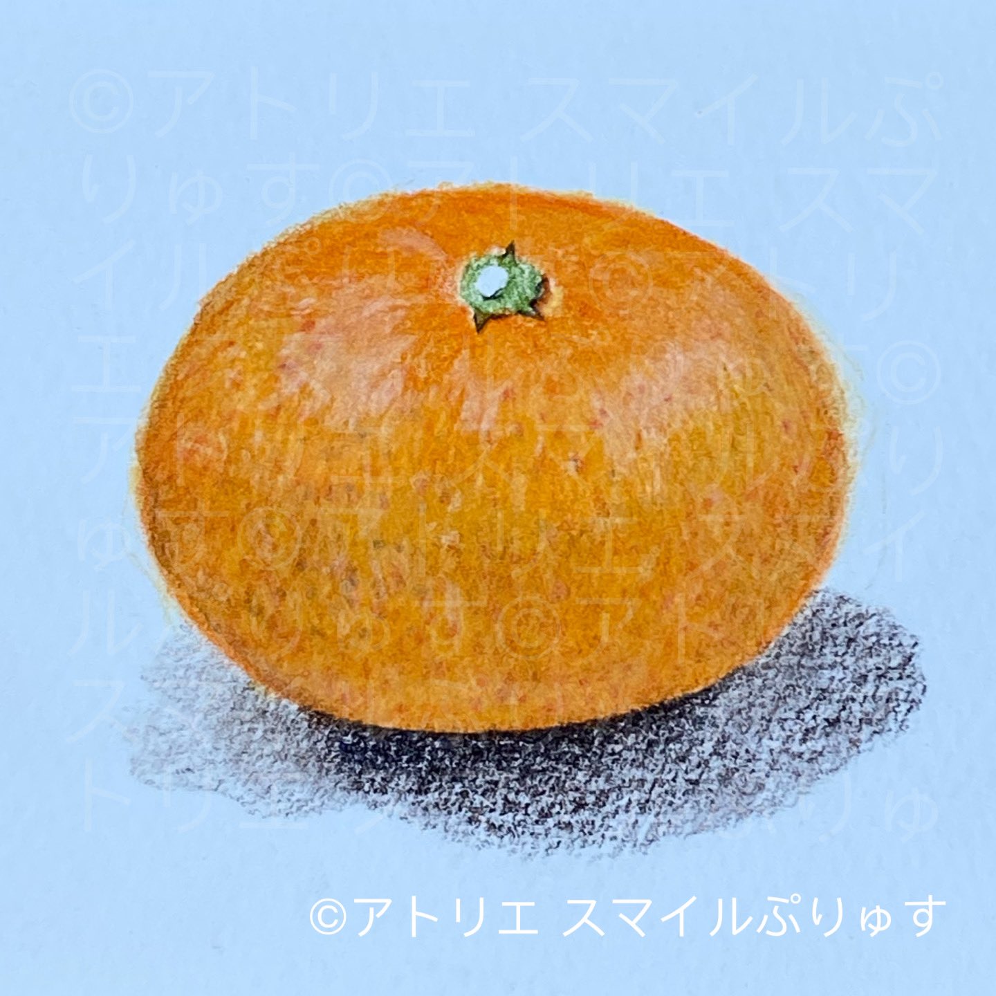 森口慶一 画家 色鉛筆画講師 一枚目の絵は 私が教室中に見本で描いた温州みかん 二枚目三枚目は 色鉛筆教室 小学生の受講生の作品制作 温州みかん 色鉛筆 色鉛筆教室 色鉛筆画 絵画教室 Sketching Sketchup Skechers Drawingart フルーツ