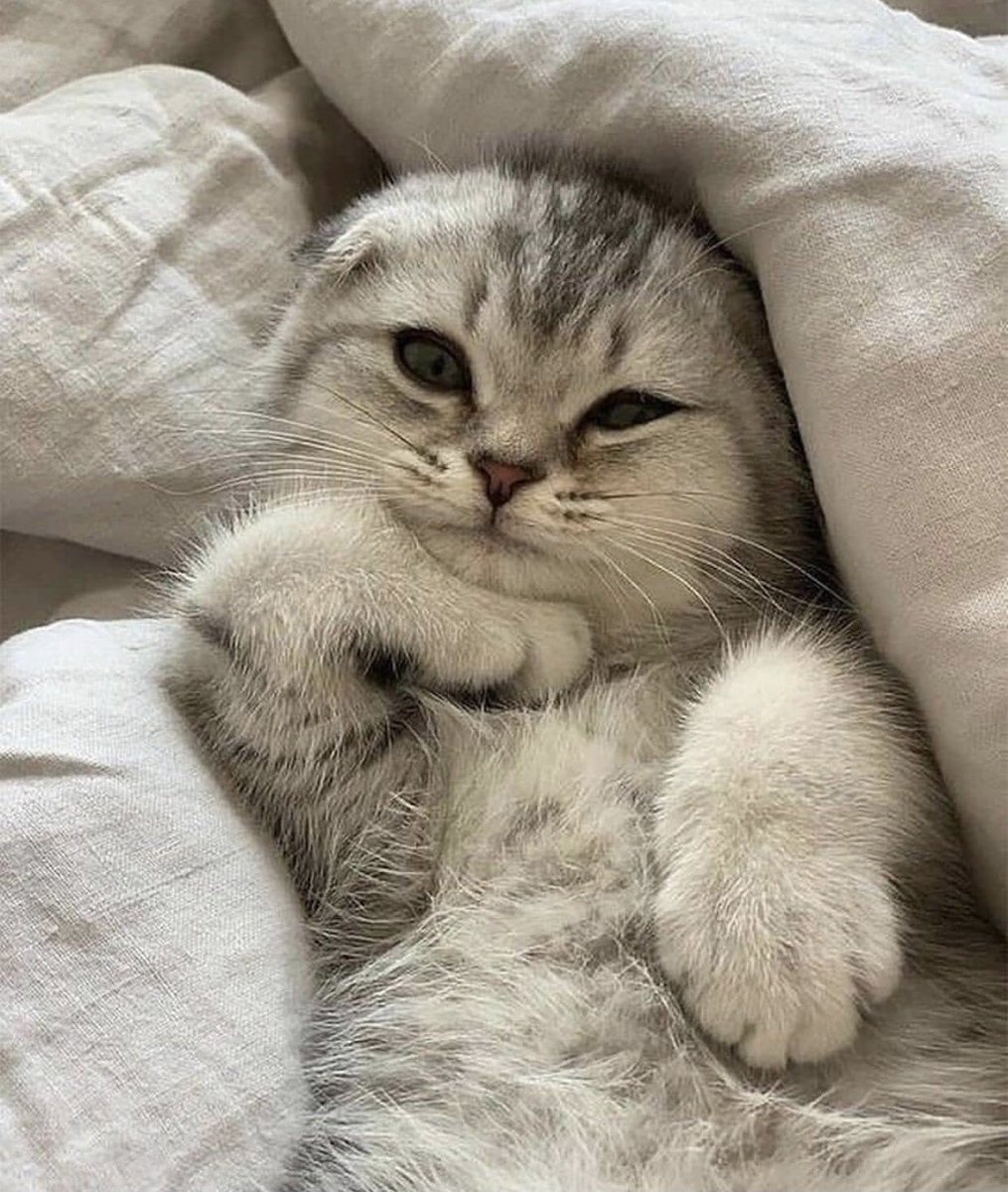 #mood