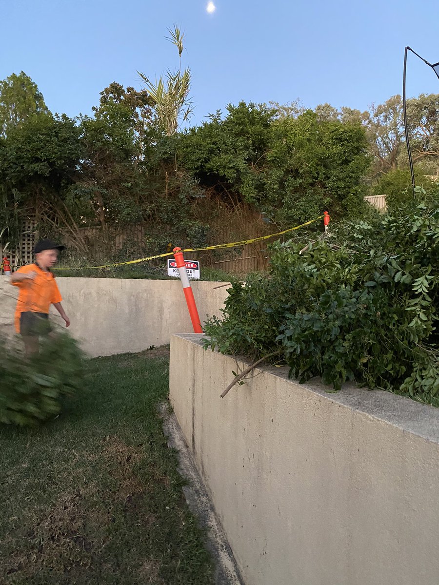 Never underestimate what a 9 year old can do when left alone for 20 minutes. 😳 #fark #gardening #farkagain