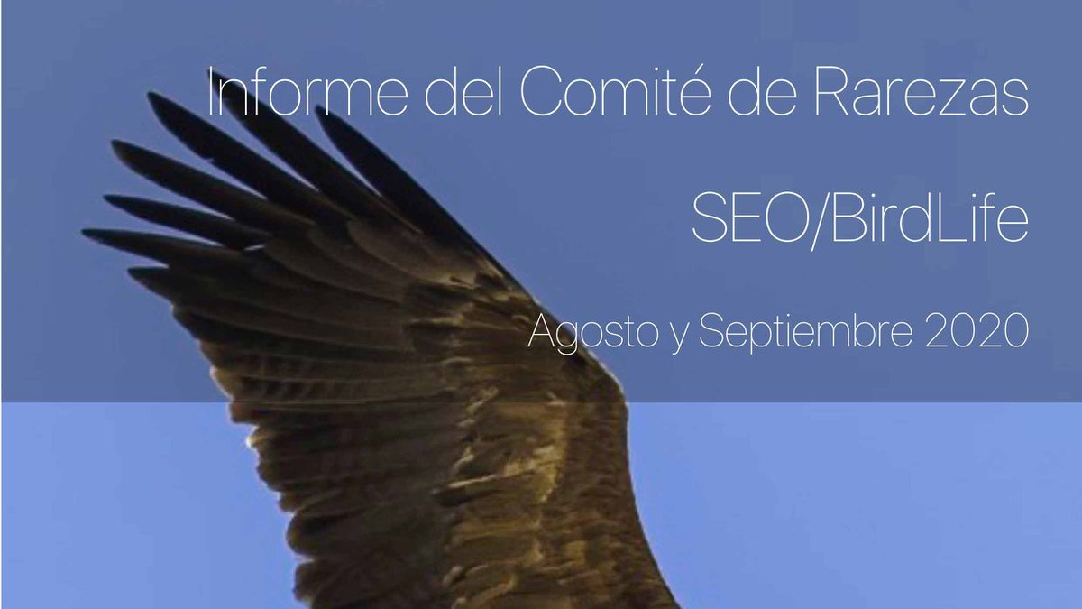 Nuevos informes mensuales del Comité de #Rarezas de 
<a href="/SEO_BirdLife/">SEO/BirdLife</a>. Registros correspondientes a los meses de agosto y septiembre de 2020. Incluye el primer registro homologado para España de albatros clororrinco (Thalassarche clororhynchos). reservoirbirds.com/Articles/RBAR_…