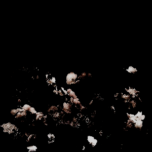 "Luckily for us Tyrells, our blood runs quite warm." ~

⚔️ New to the fandom, not new to RP.
⚔️ #GoT #HistoricalRP fandom flexible
⚔️ MC and MS
⚔️ Descriptive, Smut in DMs
⚔️ Ship with Renly Baratheon or chemistry 

RT for The knight of Flowers please?