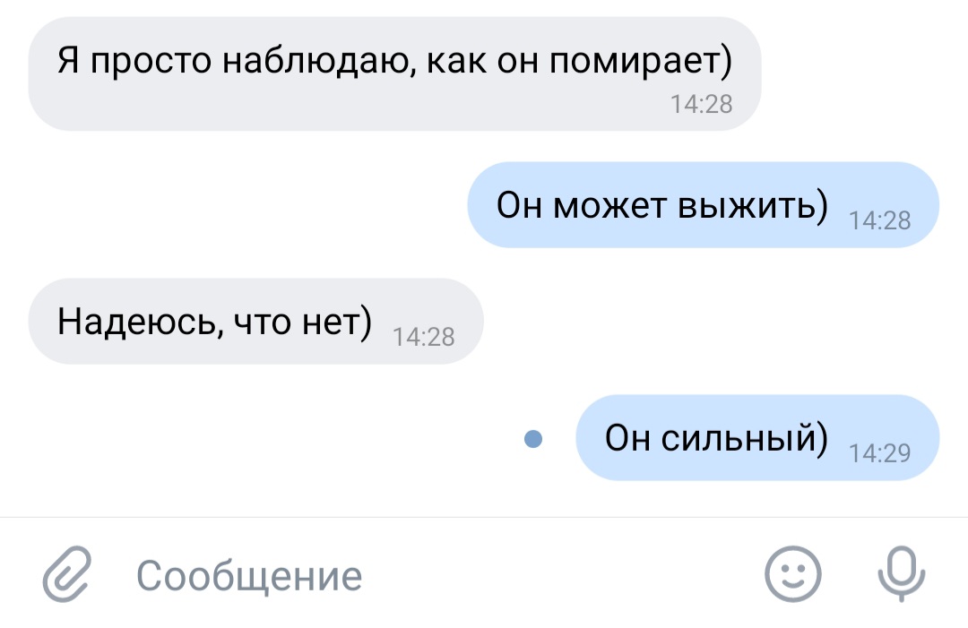 rinastarr7's tweet photo. Коротко о ситуации: я и @moonchildsj в борьбе за фикус https://t.co/la2nrmq0eY