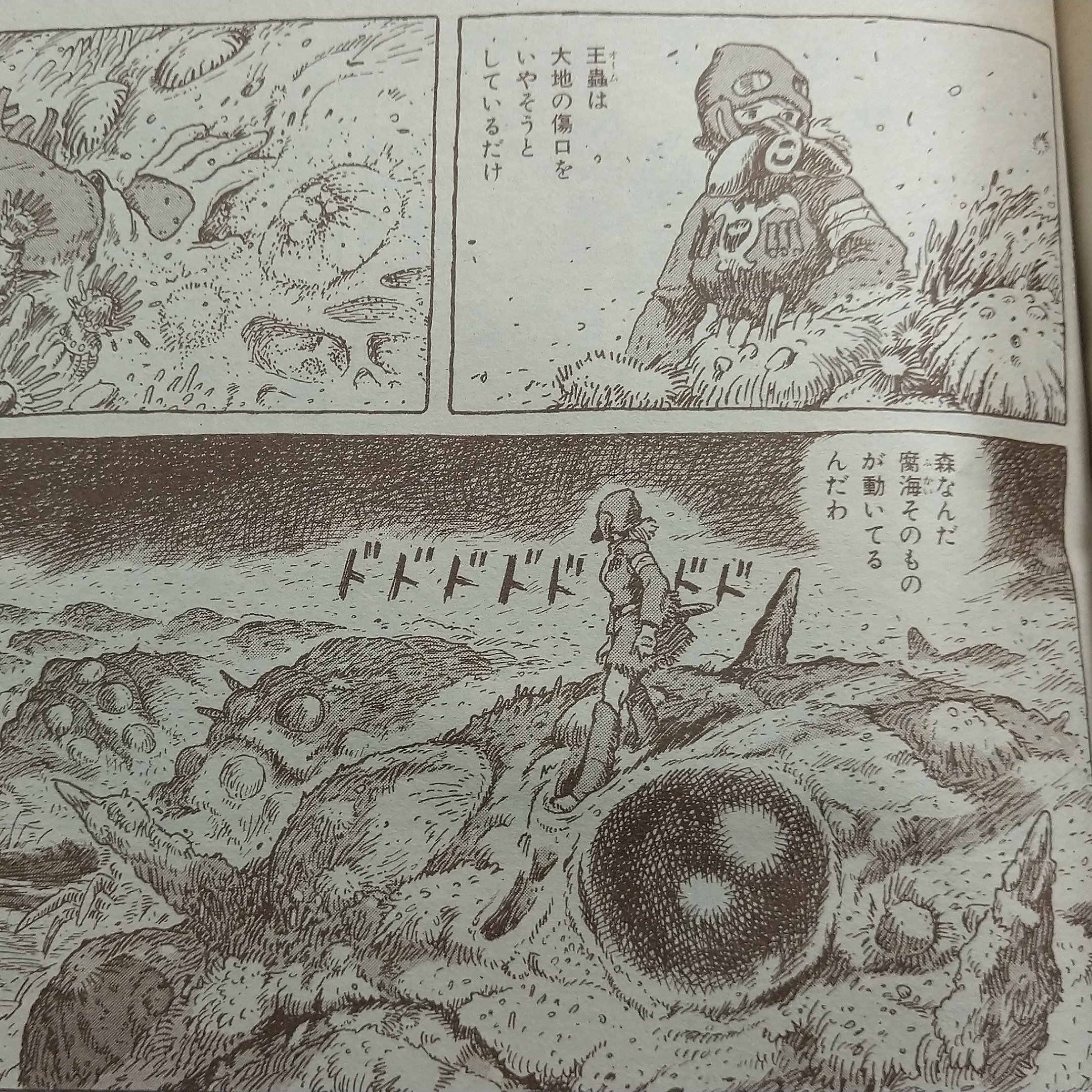 しろちち 3月新刊boothにて展開中 一方 大海嘯は蟲たちには 森を離れ 瘴気のない世界を力尽きるまで走る 正に死出の旅であり 生物としての生存本能には真っ向反対する行為です こうした行動を蟲に 起こさせる には 実に 厭らしい話ですが 腐海を