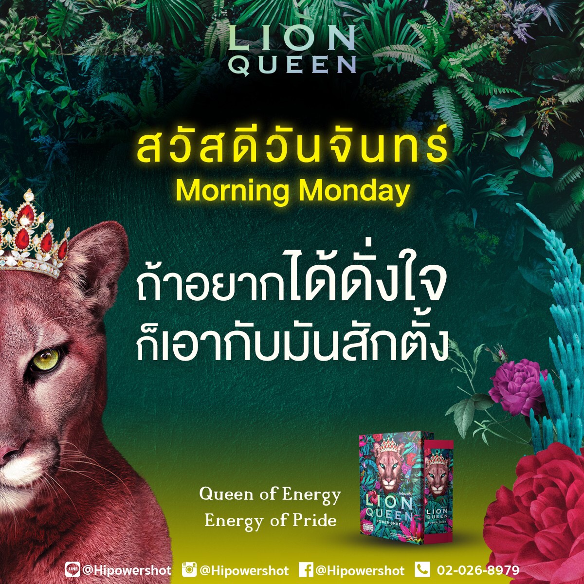 hipowershot's tweet photo. สวัสดีวันจันทร์...เริ่มวันใหม่อย่างทรงพลัง อยากได้อะไร ลองจริงจังกับมันสักครั้ง เชื่อเถอะว่าผลที่ได้มันต้องดี

#MarryTheMoment #powershot #hipowershot  #quoteoftheday #LionQueen #ปลุกพลังนางสิงห์ในตัวคุณ #AwakenTheLionWithin https://t.co/JMDFYhuBnt