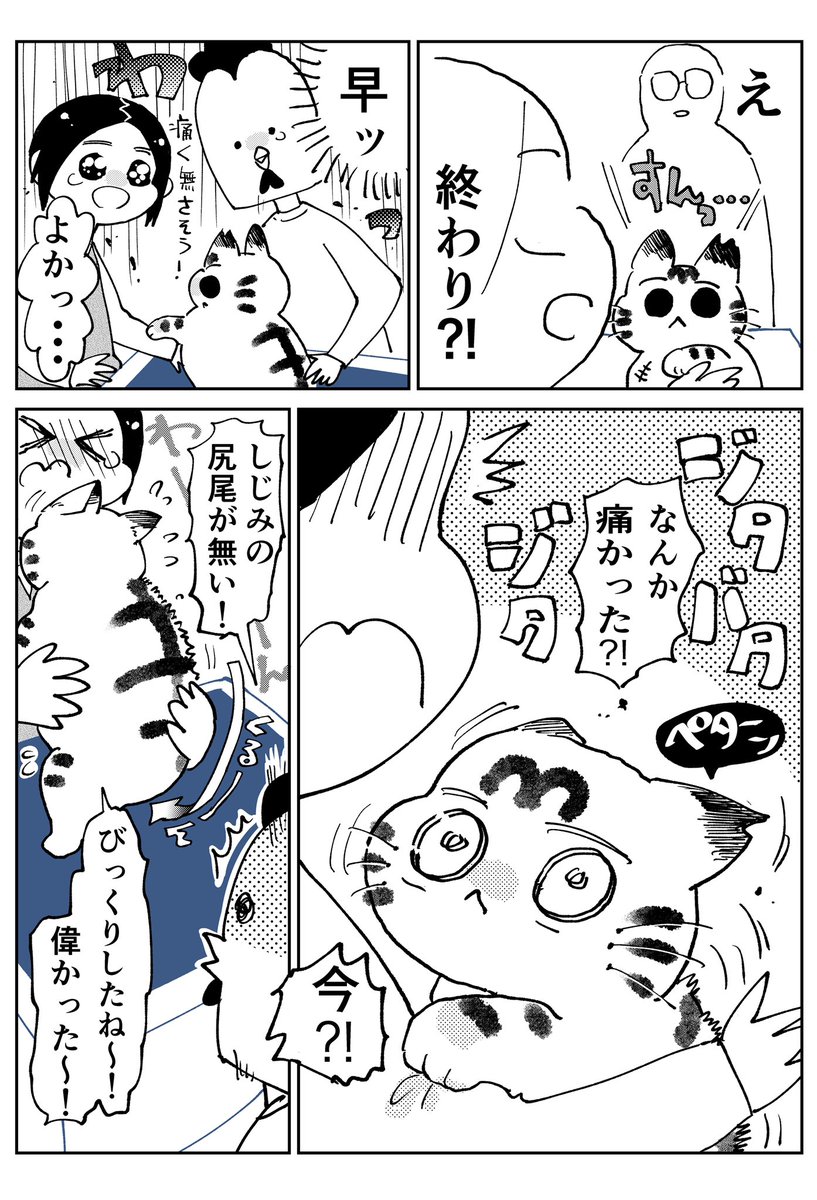 3本足のしじみちゃん110(1/2) 