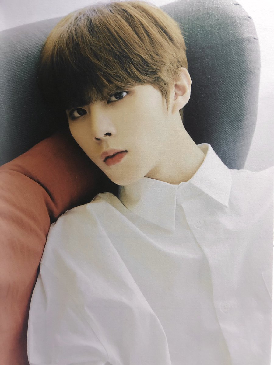 시그에서 이 사진들이 진짜 미쳤다고 생각