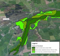 Historically the forests inaccessibility prevented outright exploitation. It was spared felling by the first wave of colonial settlers as the lands lay on McCarthy territory.As well as this, the absence of significant ironworks in the area meant relatively lower demand for fuel