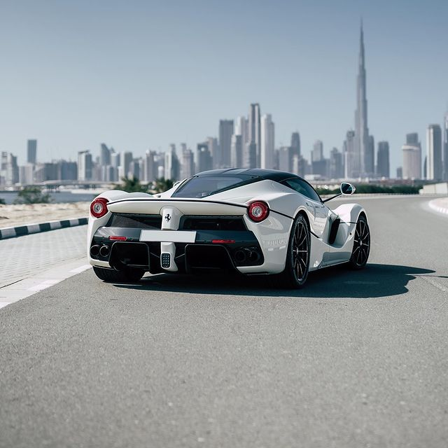 라이브바카라주소