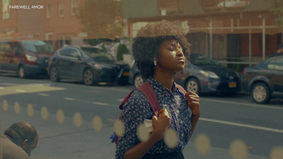 Farewell Amor 17 years after war forced them apart, an Angolan immigrant reunites with his wife and daughter in NYC. But things are not the same …