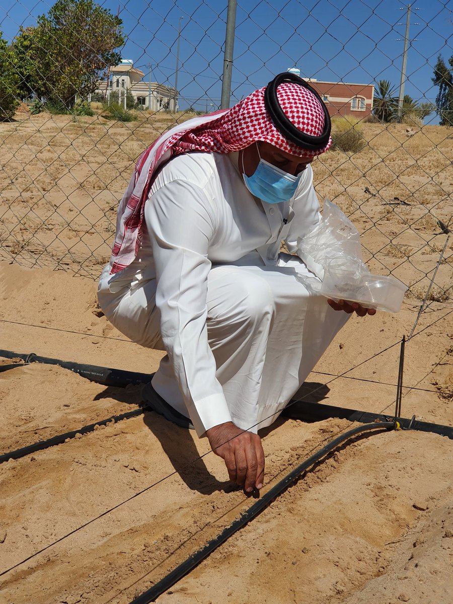 #الزراعة 
#سماد_السوبر_فوسفات #الأحادي_18% #الثلاثي_46%
يلعب سماد  السوبر فوسفات  دور مهما  في تركيب...