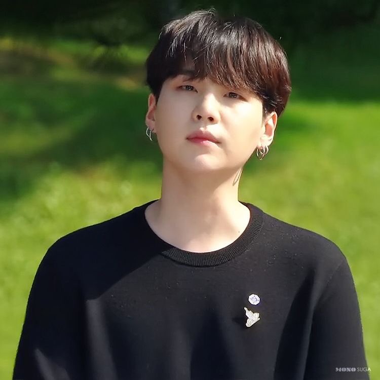 littleyoonpics's tweet photo. so pretty 🐱🌱 https://t.co/152jFejoTN
