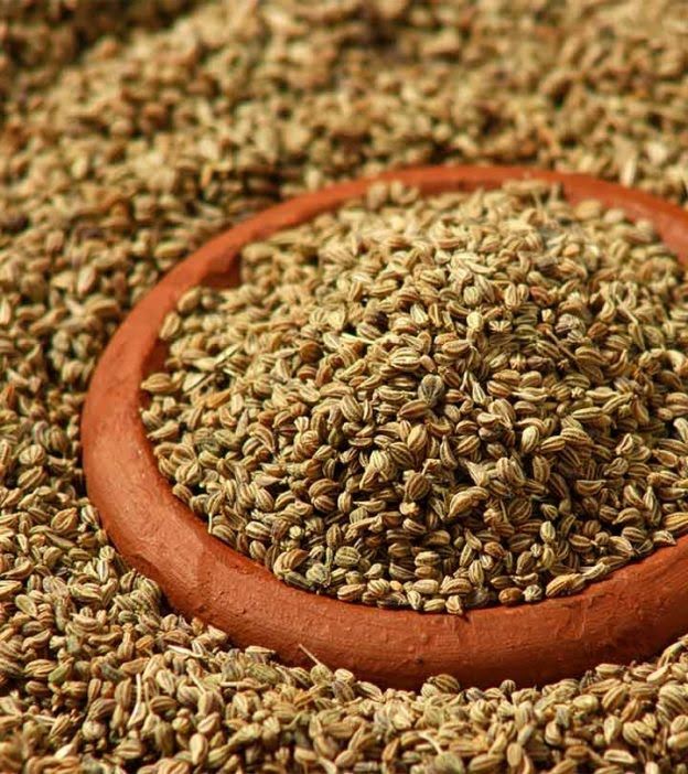 6) Carom / Ajwain:--A backyard medicinal plant and also available at every house in India.Having chronic digestive issues?Trust ajwain to help you deal with it easily.Growing ajwain plant at home is painfully easy. The plant doesn’t require much water or sunlight.