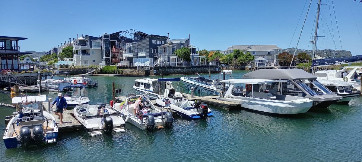 knysnacharters's tweet photo. Summer is on its way. Book your boat cruise on the Knysna Lagoon with us today call +27828920469 https://t.co/0SmwrrV54K