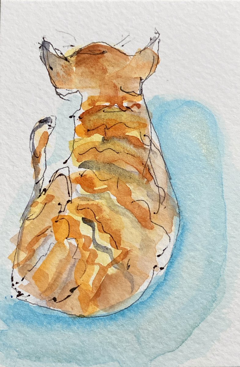ClaireDeVille3's tweet image. Happy #Caturday #CatsOfTwitter My Original pen sketch and watercolor painting. #devonrexcats