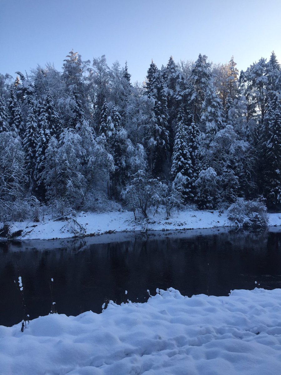 tranzispuncel's tweet photo. сегодня кончился месяц моего изолированного пребывания в банковском пансике под девизом ‘твори бардак, мы здесь проездом’...)) https://t.co/2kZRNHKecW