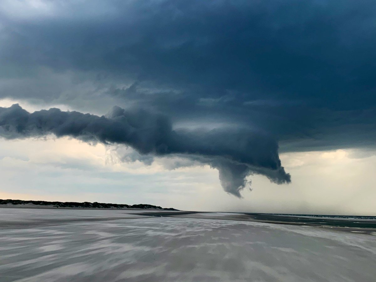 richardtkiewiet tweet media