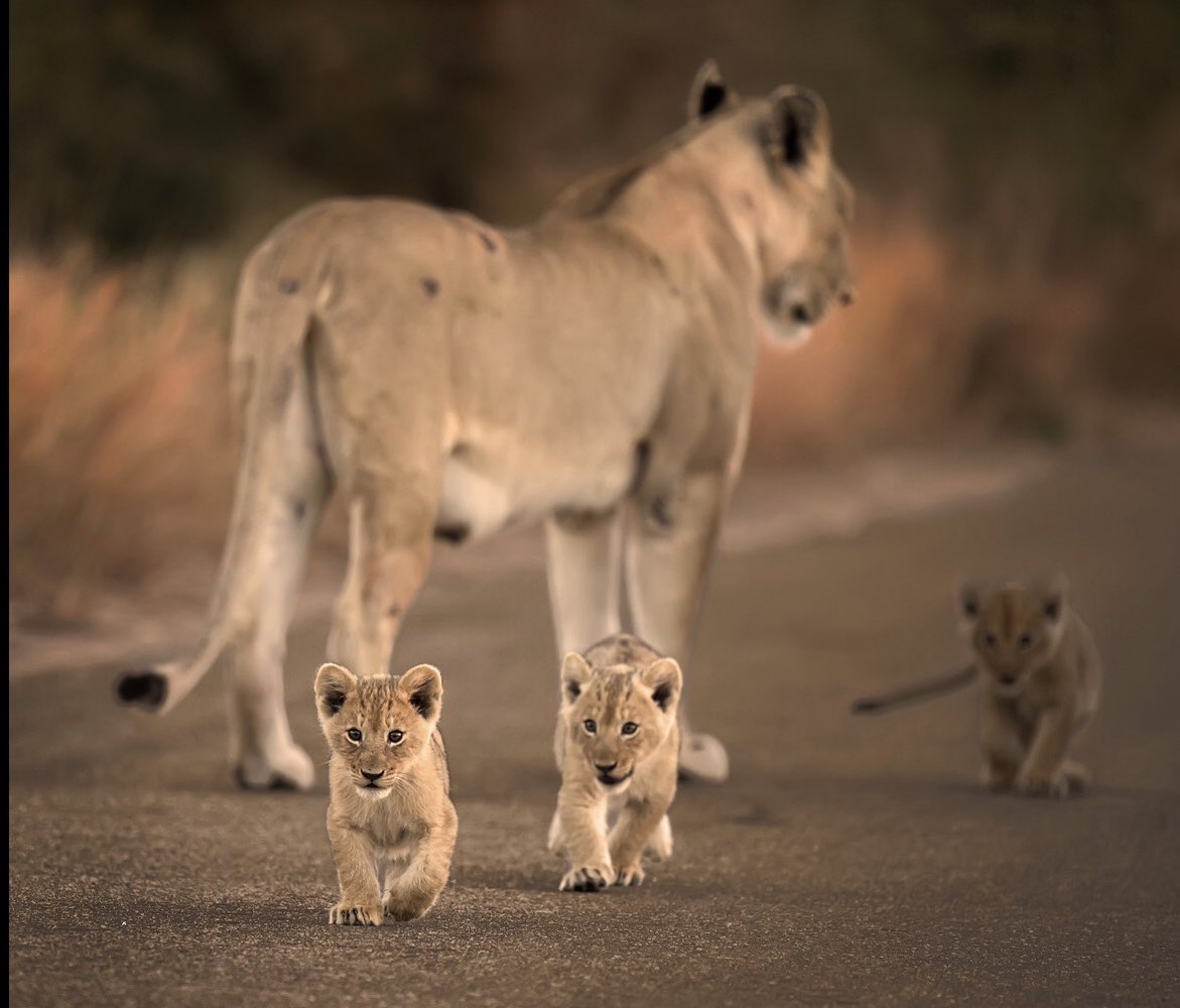 Late Saturday soother!