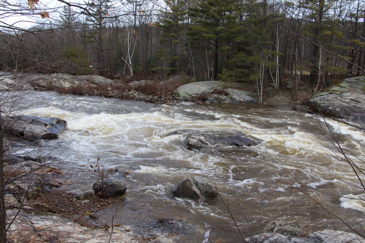 MarieGauvin3's tweet photo. Swift river moving this morning. https://t.co/ZzP1OSZ4zJ