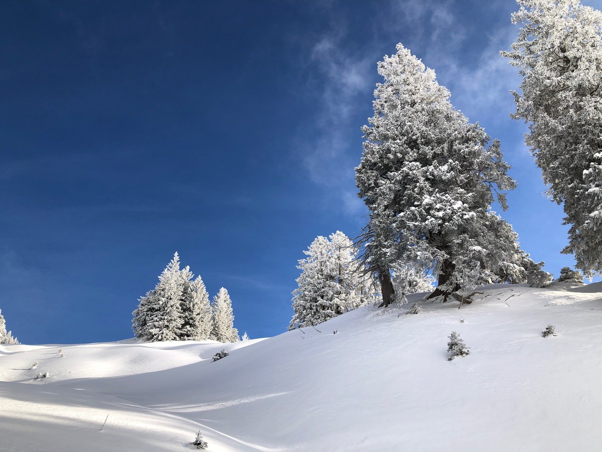 meteoschweiz's tweet image. Schöne Winterlandschaft und spektakuläres Sonne-Wolkenspiel heute Nachmittag am Raaberg, hoch über Amden am #Walensee. Fotos von Cornelia Schwierz.